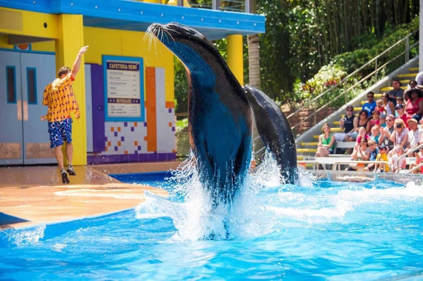 Superb House By Seaworld, Private Pool & Gameroom San Antonio Kültér fotó